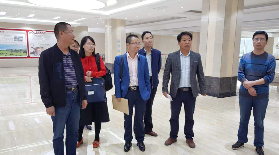 NG28南宫(中国)官方网站
