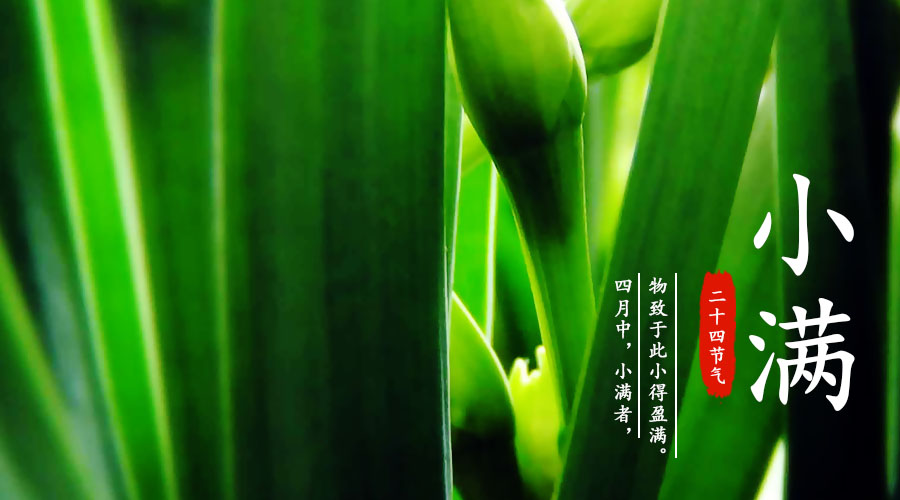 NG28南宫(中国)官方网站