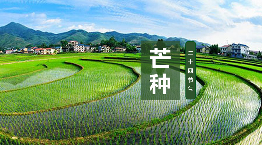 NG28南宫(中国)官方网站