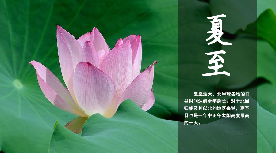 NG28南宫(中国)官方网站