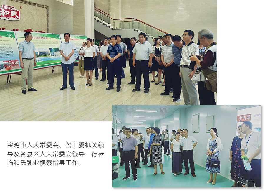 NG28南宫(中国)官方网站