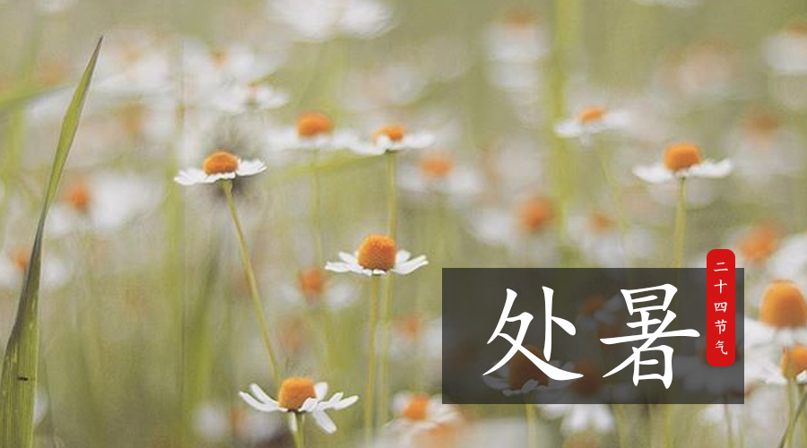 NG28南宫(中国)官方网站