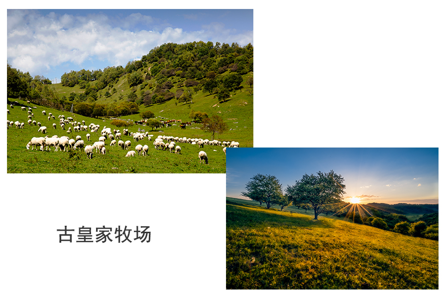 NG28南宫(中国)官方网站