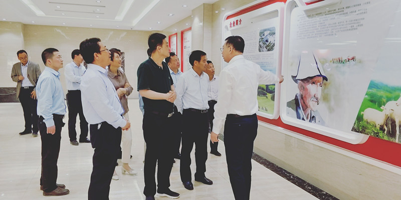 NG28南宫(中国)官方网站