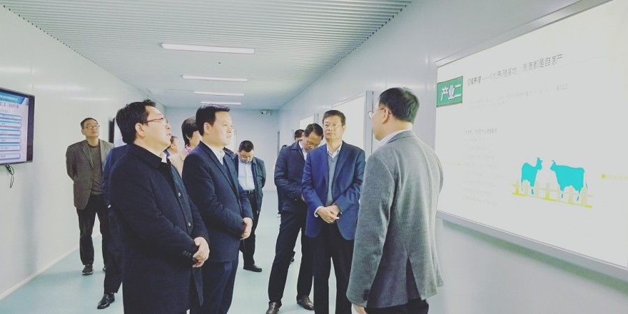 NG28南宫(中国)官方网站