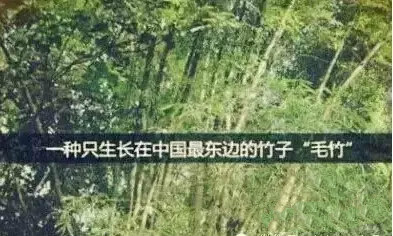NG28南宫(中国)官方网站