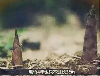 NG28南宫(中国)官方网站