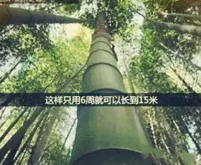 NG28南宫(中国)官方网站
