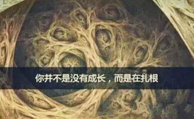 NG28南宫(中国)官方网站