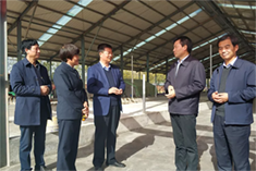 NG28南宫(中国)官方网站